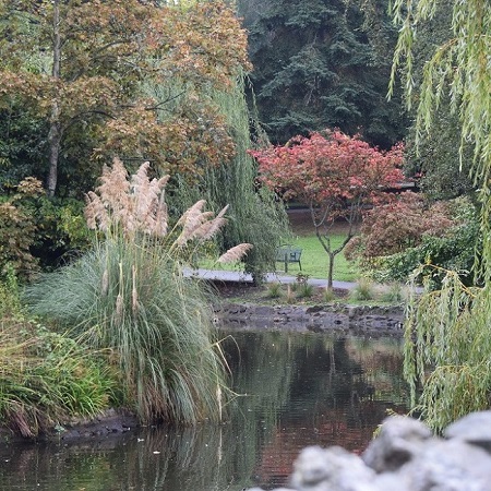 Beacon Hill Park